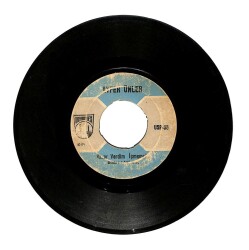 Ayfer Ünler - Karar Verdim İçmeyeceğim / Züleyha PLAK (10/6) PLK233 - 2