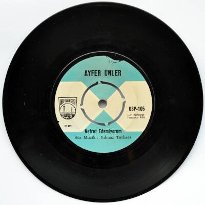 Ayfer Ünler - Nefret Edemiyorum (109) PLK4983 - 1