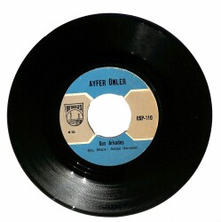Ayfer Ünler - Sus Arkadaş PLAK (107) PLK18507 - 2