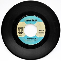 Ayfer Ünler - Zeynep Gelin (107) PLK8426 - 1