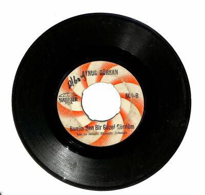 Aynur Gürkan - Beni Sevdaya Saldın PLAK (10/6) PLK18612 - 2
