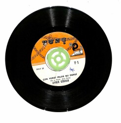 Aynur Gürkan - Esmer Bugün Ağlamış Çok Verdi Felek Bu Derdi PLAK109 - 2