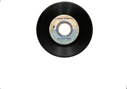Aynur Gürkan - Uzun İnce Bir Yoldayım & Gel Gidelim Uzaklara Sevgilim PLAK (10/6.5) PLK26455 - 2