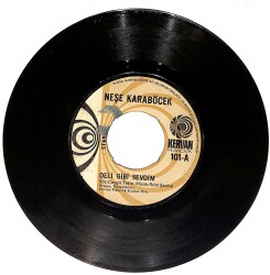 Neşe Karaböcek - Deli Gibi Sevdim - Gözyaşı Yalan Söylemez Plak (10/6.5) PLK25410 - Gökçekoleksiyon