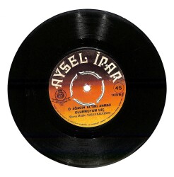 Aysel İpar - O Ağacın Altını Bilmem Anıyormusun - O Ağacın Altını Anmaz Olurmuyum Hiç Plak (107) PLK21341 - 2
