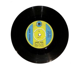 Nükhet Duru - Canım Yandı / Haydi Uzatma Arkadaş PLAK (10/7.5) PLK23549 - Gökçekoleksiyon