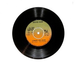 Sevgi Sun - Hayırsızın Biriydi / Sevemedim Kara Gözlüm PLAK (10/7.5) PLK24627 - Gökçekoleksiyon