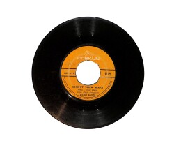 Selçuk Alagöz - Edremit Van'a Bakar & Bağ Bozumu PLAK (10/6) PLK25605 - Gökçekoleksiyon