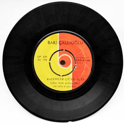 Baki Çallıoğlu - Bademler Çiçek Açtı (107) PLK7861 - 1