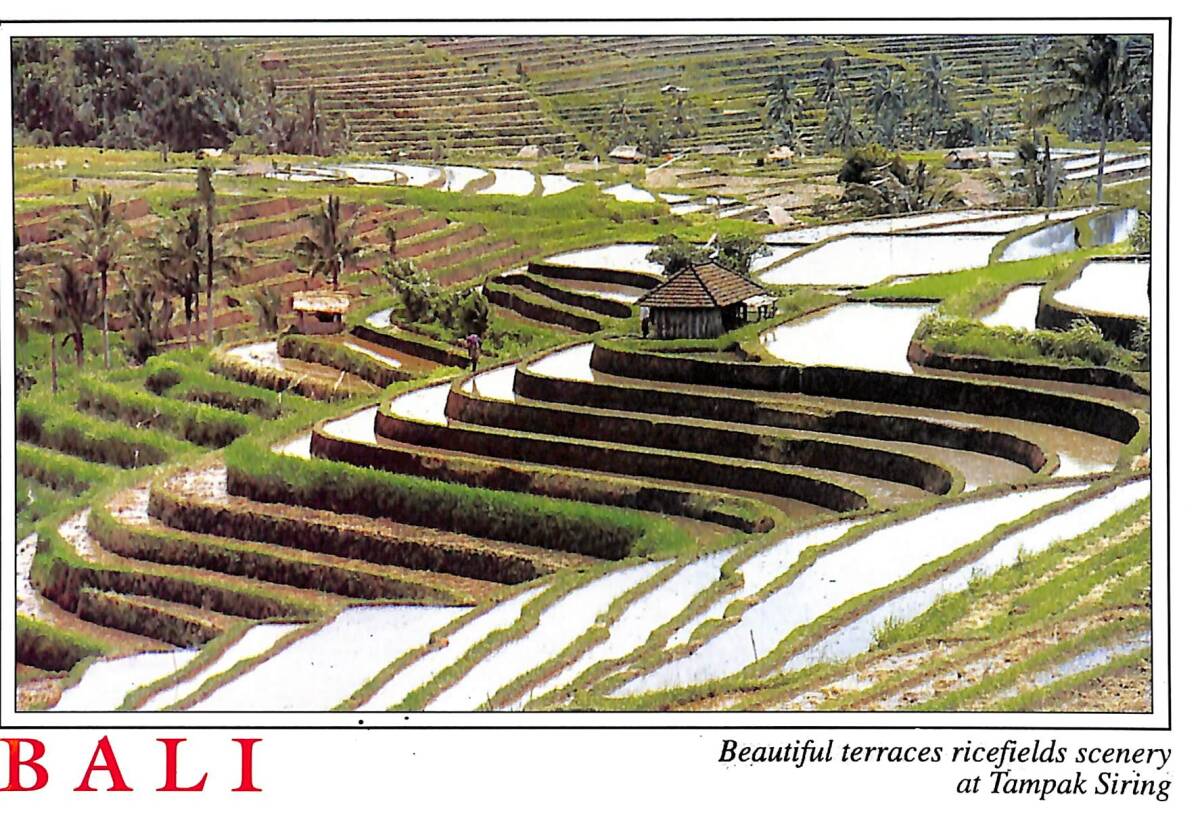 Bali Kartpostal - Tampak Siring KRT23594 - 1