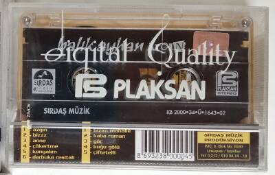 Balık Ayhan - Azgın Kaset KST9742 - 2
