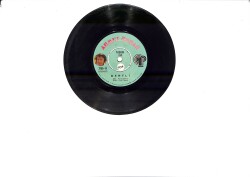 Ahmet Özhan - Dertli / Ölünceye kadar PLAK (10/6.5) PLK25912 - Gökçekoleksiyon