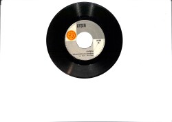 Ayşem - Gururum /Sadaka İstemiyorum Senden PLAK (10/6.5) PLK25923 - Gökçekoleksiyon