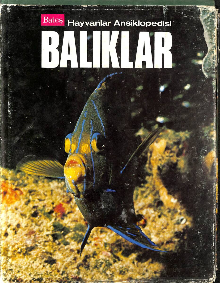 BATEŞ - Hayvanlar Ansiklopedisi Balıklar NDR96769 - 1