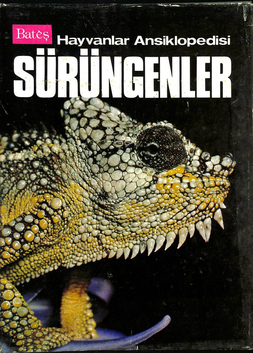 BATEŞ - Hayvanlar Ansiklopedisi Sürüngenler NDR96770 - 1