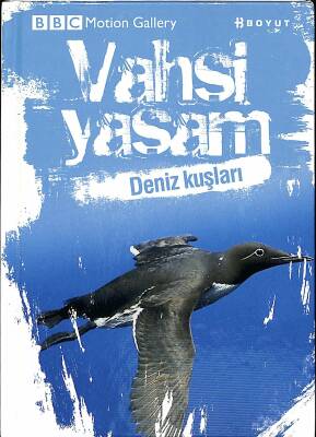 BBC Mation Gallery Vahşi Yaşam - Deniz Kuşları NDR82776 - 1