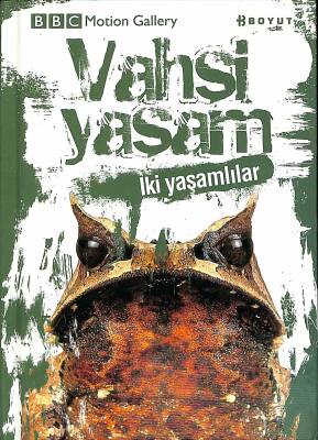 BBC Mation Gallery Vahşi Yaşam - İki Yaşamlılar NDR82765 - 1