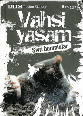 BBC Mation Gallery Vahşi Yaşam - Sivri Burunlular NDR82767 - 1