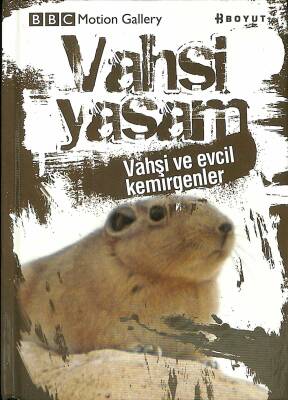 BBC Mation Gallery Vahşi Yaşam - Vahşi Ve Evcil Kemirgenler NDR82762 - 1