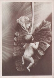 Bebek Temalı Kartpostal KRT2421 - Gökçekoleksiyon