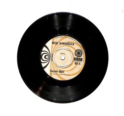 Neşe Karaböcek - Duyun Beni / Ne Umdun Ne Buldum PLAK (10/7.5) PLK24640 - Gökçekoleksiyon