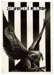 Beşiktaş Animasyon Kara Kartal KRT5244 - Gökçekoleksiyon