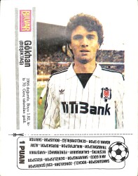 Beşiktaş Futbolcu Gökhan Kartı (Küçük Boy) KRT23439 - Gökçekoleksiyon