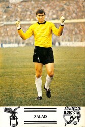 Beşiktaş Kaleci Zalad Kartpostal KRT18952 - Gökçekoleksiyon