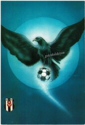 Beşiktaş Karikatür Karakartal KRT6602 - Gökçekoleksiyon
