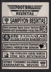 Beşiktaş Taraftar Çıkartma Aksesuarı AKS280 - 2