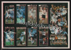 Beşiktaş Taraftar Oyuncuları Çıkartma Aksesuarı AKS268 - Gökçekoleksiyon