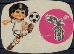 Beşiktaş Taraftarı Çıkartma Aksesuarı AKS171 - Gökçekoleksiyon