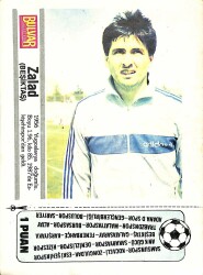 Beşiktaş Zalad Kartpostal (Küçük Boy) - Gökçekoleksiyon