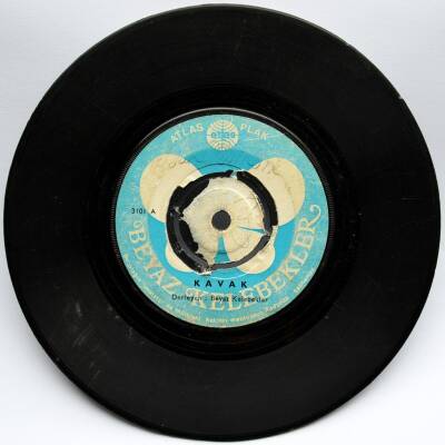 Beyaz Kelebekler - Kavak (106) PLK5247 - 1