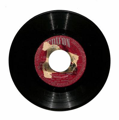 Bilal Bozdağ - Nereye Gidem Bülbülü Tuttum da AleylimBenim İçin Mini Lp Plak (106) PLK19824 - 1