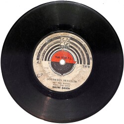 Hayri Şahin - Kimler Unutmadı ki / Dönmedin Sevgilim PLAK (10/5.5) PLK24863 - Gökçekoleksiyon