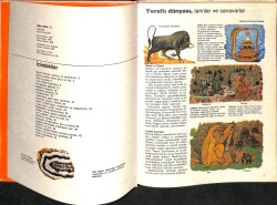 Bilim Dizisi No : 3 - Yeryüzü NDR100103 - 2