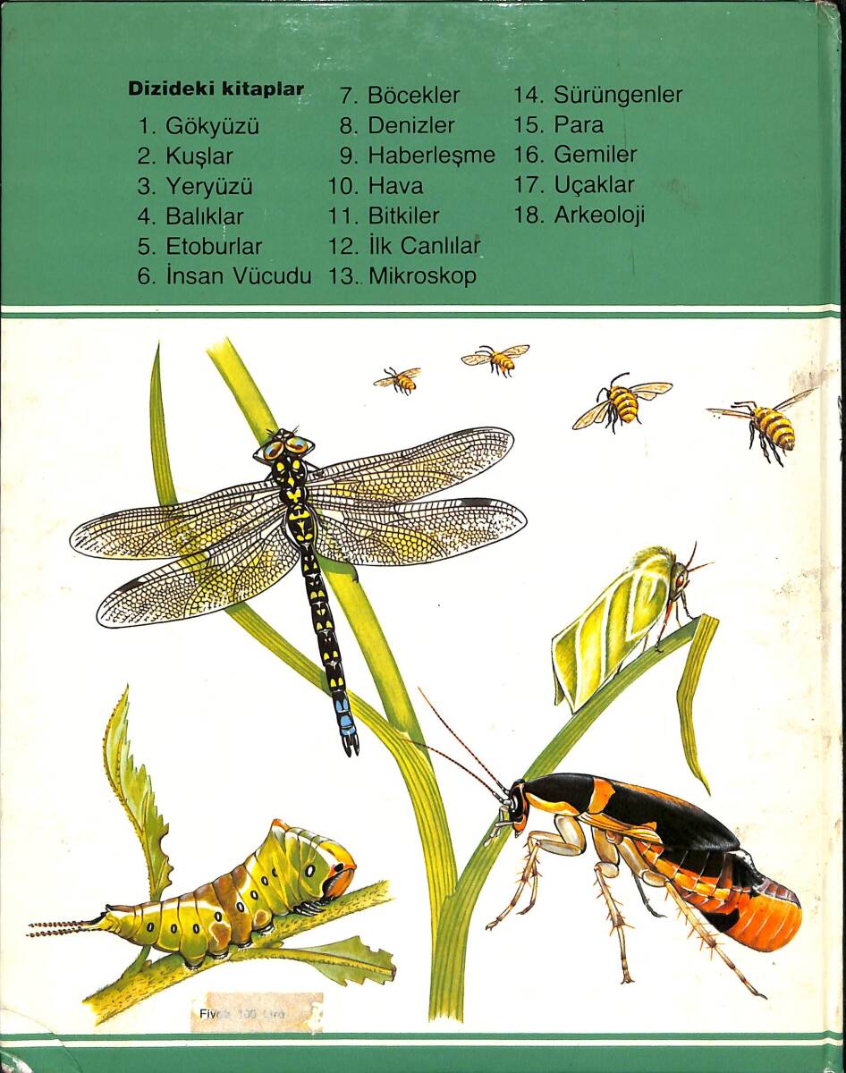 Bilim Dizisi No : 7 - Böcekler NDR100109 - 3