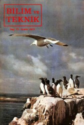 BİLİM VE TEKNİK AYLIK POPÜLER DERGİ - SAYI73 - ARALIK 1973 - DRG1323 - Gökçekoleksiyon