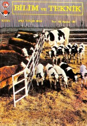 Bilim Ve Teknik Dergisi Ağustos 1981 Sayı : 165 NDR89080 - Gökçekoleksiyon