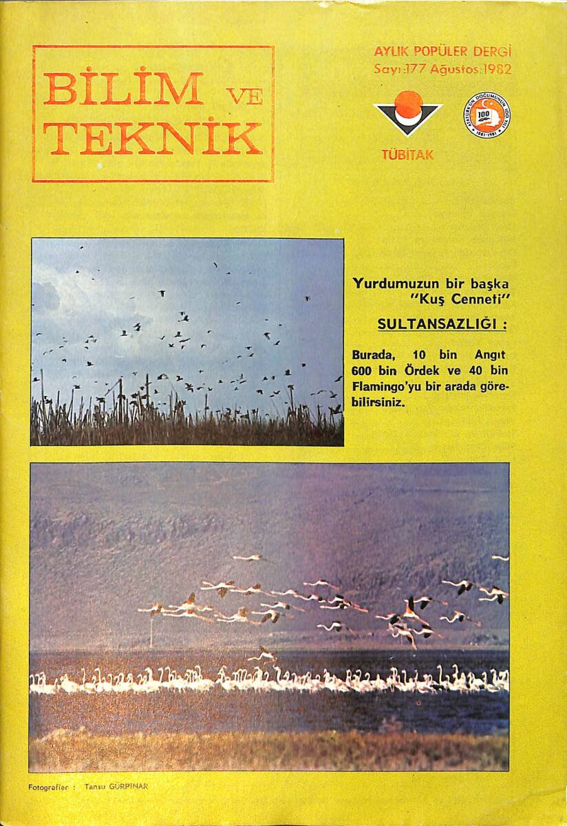 Bilim ve Teknik Dergisi Ağustos 1982 Sayı: 177 NDR98963 - 1