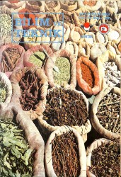 Bilim Ve Teknik Dergisi Mayıs 1981 Sayı : 162 NDR89083 - Gökçekoleksiyon