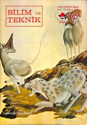 Bilim Ve Teknik Dergisi Mayıs 1982 Sayı : 174 NDR89091 - Gökçekoleksiyon