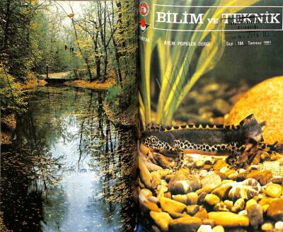 Bilim ve Teknik Dergisi Sayı 139 -168 Yıl 1979 ÖZEL CİLTLİ KTP3395 - 1