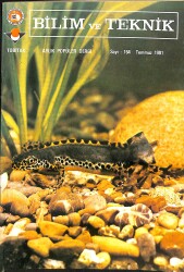 Bilim Ve Teknik Dergisi Temmuz 1981 Sayı : 164 NDR89081 - Gökçekoleksiyon