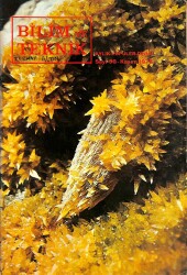 BİLİM VE TEKNİK SAYI96 KASIM 1975 DRG1343 - Gökçekoleksiyon