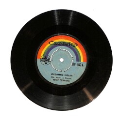 Rıfat Özsaraç - Vicdansız Kızlar / Şaziyem Plak (10/7) PLK24301 - Gökçekoleksiyon