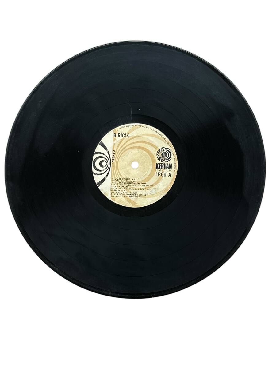 Biricik - Gurbet Kuşları LP Plak (10/8) PLK25459 - 1