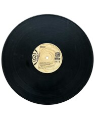 Biricik - Gurbet Kuşları LP Plak (10/8) PLK25459 - 2