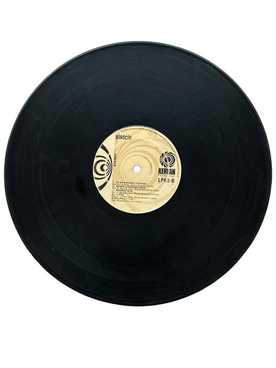 Biricik - Gurbet Kuşları LP Plak (10/8) PLK25459 - 2